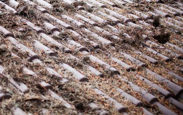 Nutfield roof cleaning companies